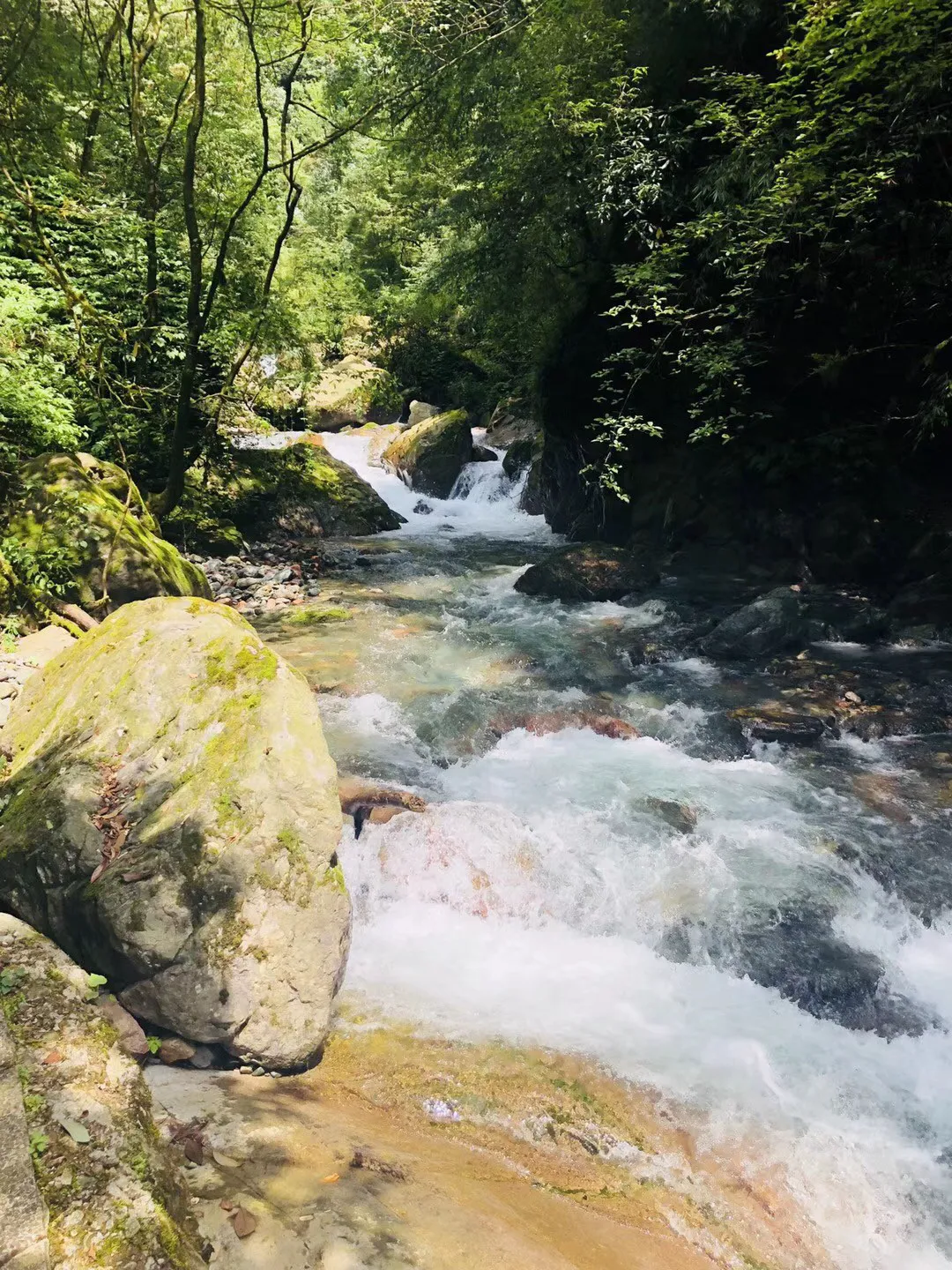 寻找沙漠珍宝